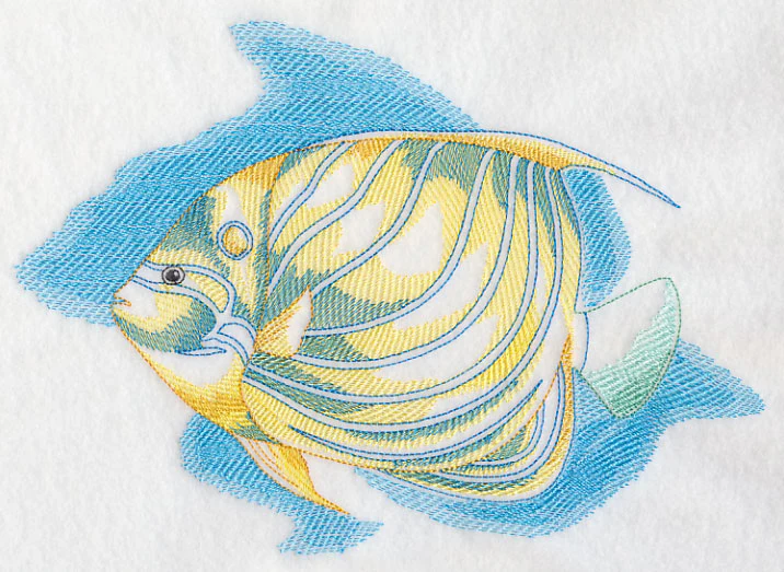 Sea Life Splash - Blue Ring Angelfish - Image 6