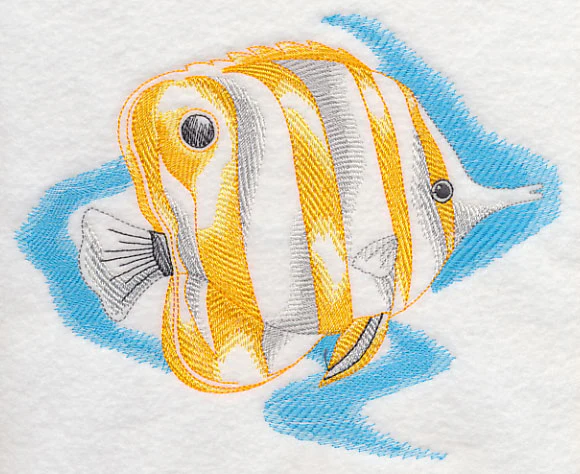 Sea Life Splash - Copperband Butterflyfish - Image 2