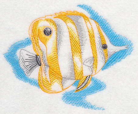 Sea Life Splash - Copperband Butterflyfish - Image 4