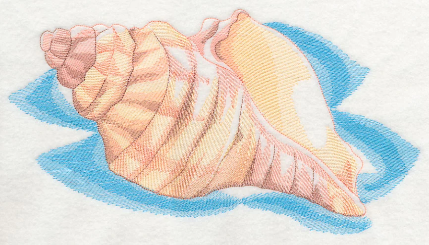 Sea Life Splash - Sea Shell 1 - Image 6
