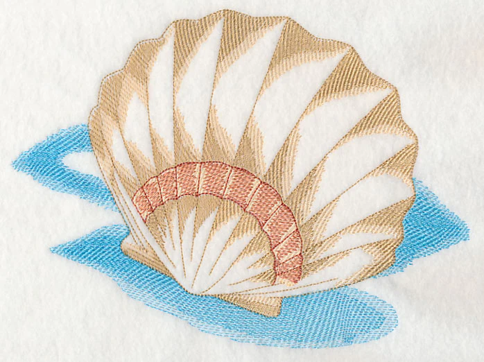 Sea Life Splash - Sea Shell 2