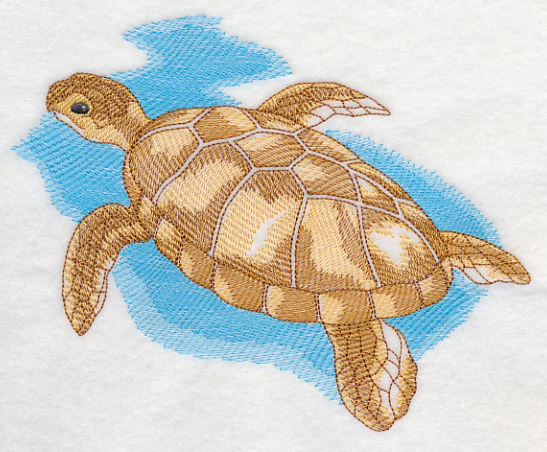 Sea Life Splash - Sea Turtle - Image 2