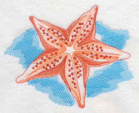 Sea Life Splash - Starfish - Image 3