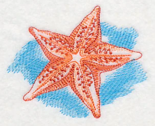 Sea Life Splash - Starfish - Image 4