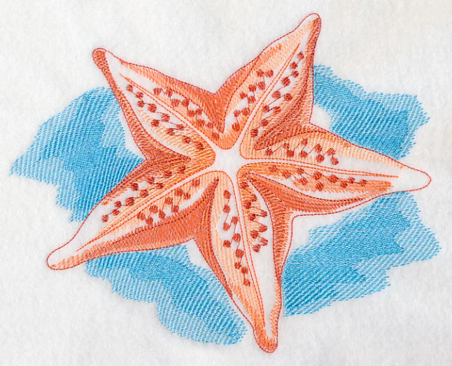 Sea Life Splash - Starfish - Image 5