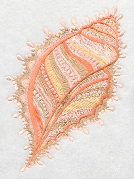 Seadreams Seashell - Image 4