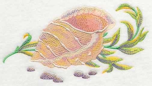 Seashell 1 in Watercolor - Image 4