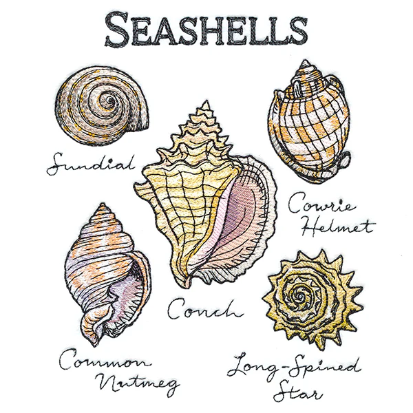 Seashells By The Seashore Chart - Image 2