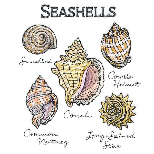 Seashells By The Seashore Chart - Image 4