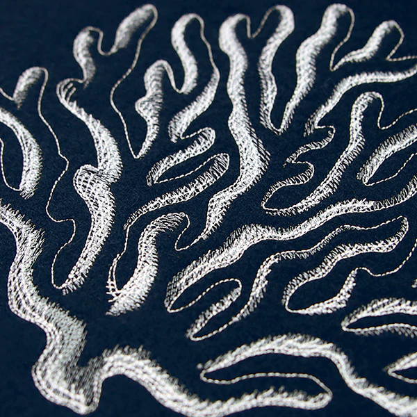 Seaside Etchings - Coral - Image 2