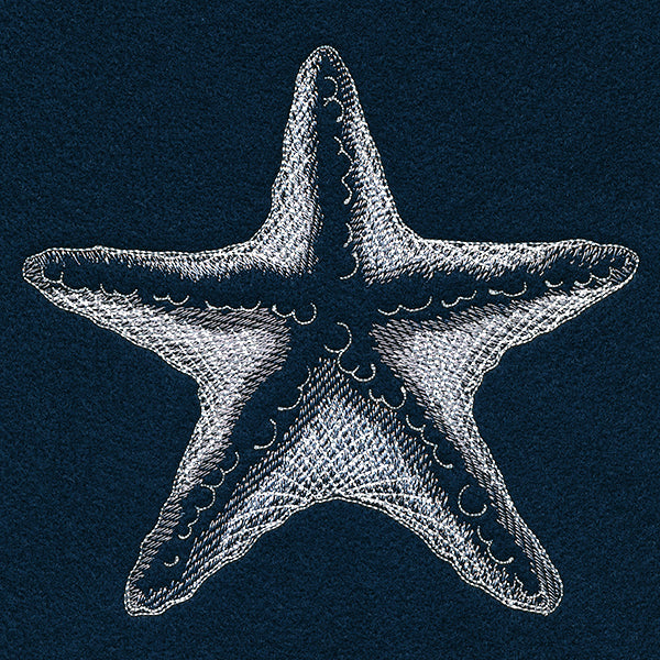 Seaside Etchings - Starfish - Image 3