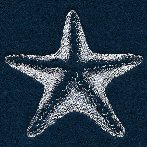 Seaside Etchings - Starfish - Image 5