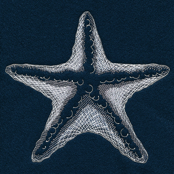 Seaside Etchings - Starfish - Image 7