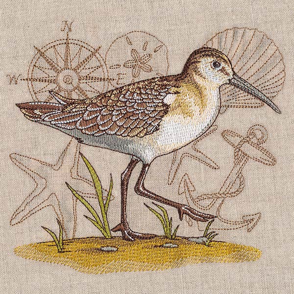 Seaside Sandpiper Medley - Image 2