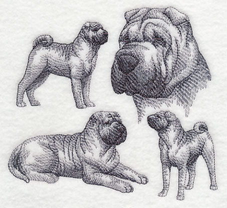 Sharpei Sketch - Image 2