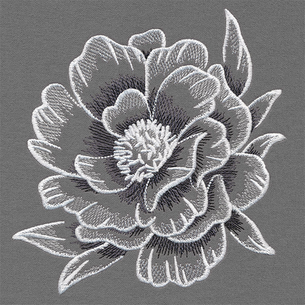 Sheer and Elegant Peony - Image 7