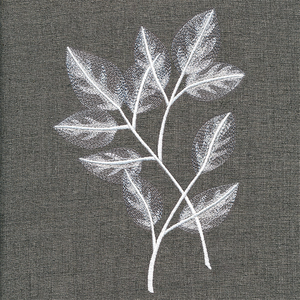 Sheer Beauty Botanicals - Rose Leaves - Image 2