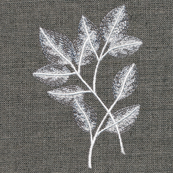 Sheer Beauty Botanicals - Rose Leaves - Image 5