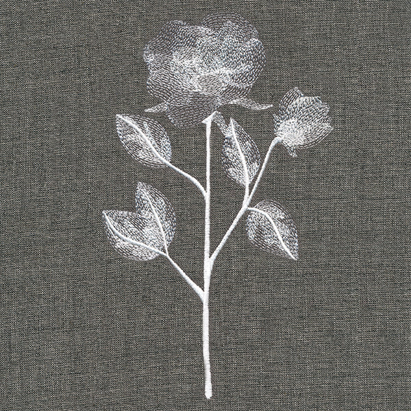 Sheer Beauty Botanicals - Roses - Image 2