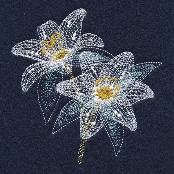 Sheer Delights Lilies - Image 5