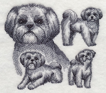 Shih Tzu Sketch - Image 3
