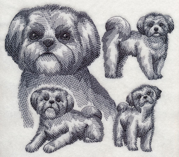 Shih Tzu Sketch - Image 4