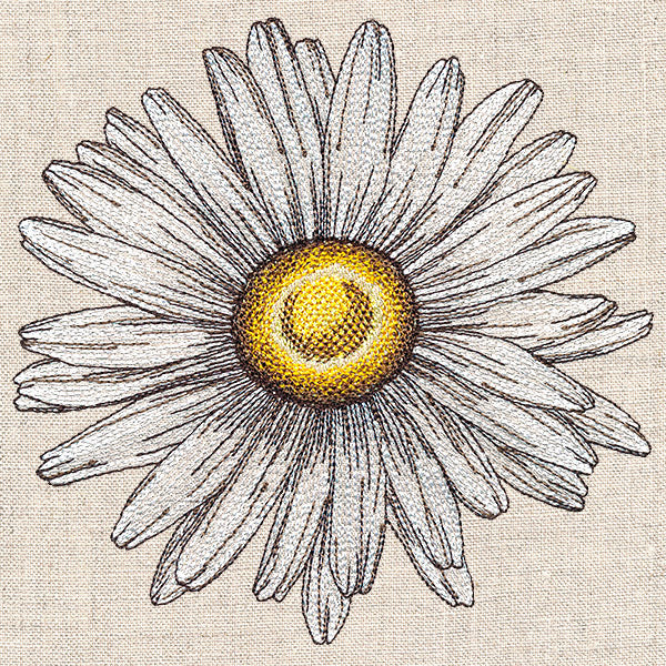 Shining Daisy - Image 5