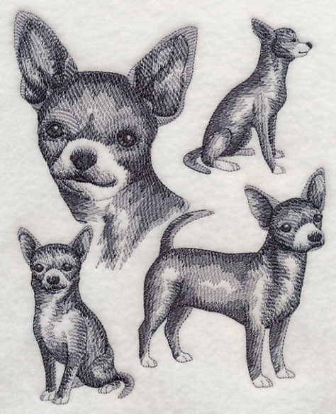 Short-haired Chihuahua Sketch - Image 2