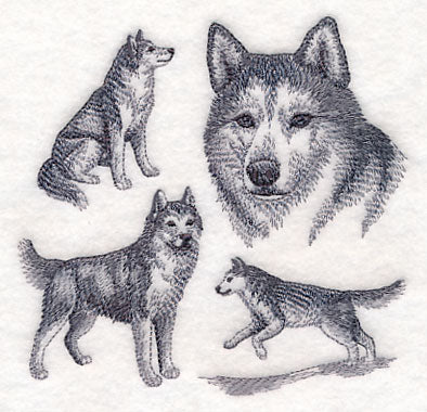 Siberian Husky Sketch - Image 4