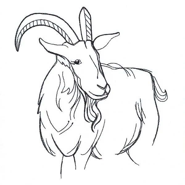 Simple Farm Sketch - Goat - Image 4