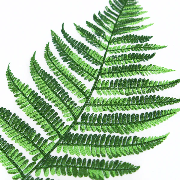 Simple Fern - Image 5