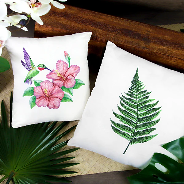 Simple Fern - Image 6