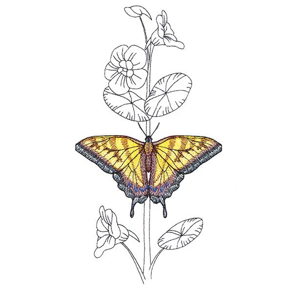 Simple Nasturtium and Tiger Swallowtail - Image 2