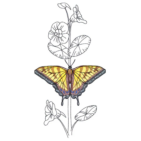 Simple Nasturtium and Tiger Swallowtail - Image 5