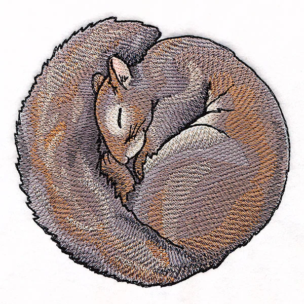 Sleeping Animal Circle - Squirrel - Image 2
