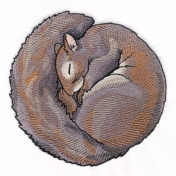 Sleeping Animal Circle - Squirrel - Image 4