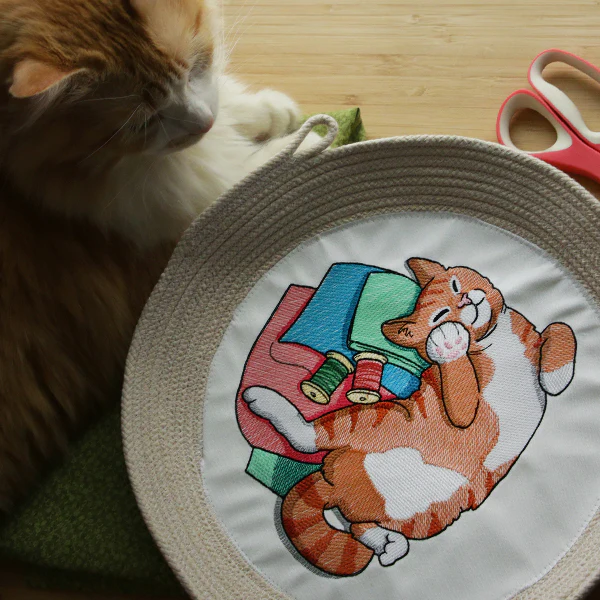 Sleeping on Fabric Kitty - Image 10