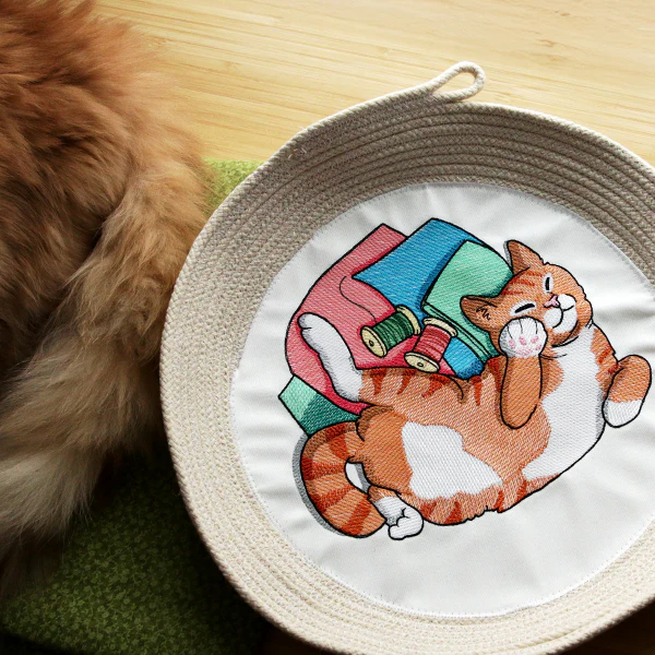 Sleeping on Fabric Kitty - Image 18
