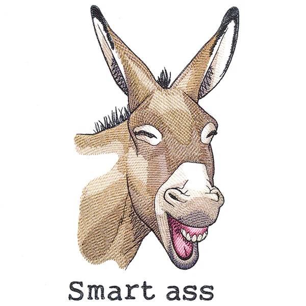 Smart Ass Donkey - Image 2
