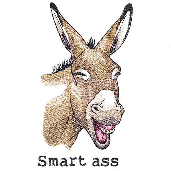 Smart Ass Donkey - Image 3