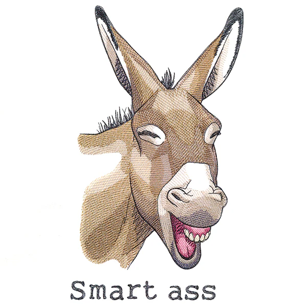 Smart Ass Donkey - Image 5