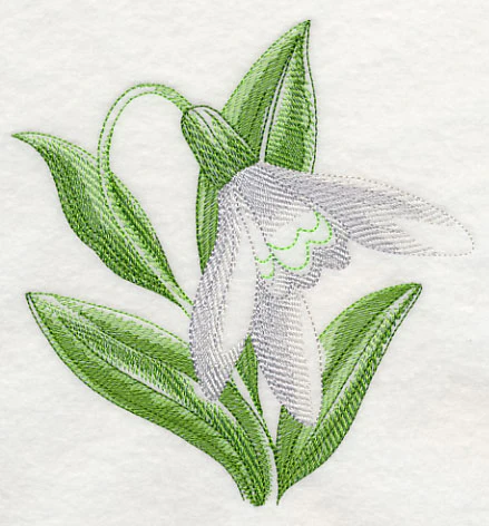 Snowdrop Beauty - Image 3