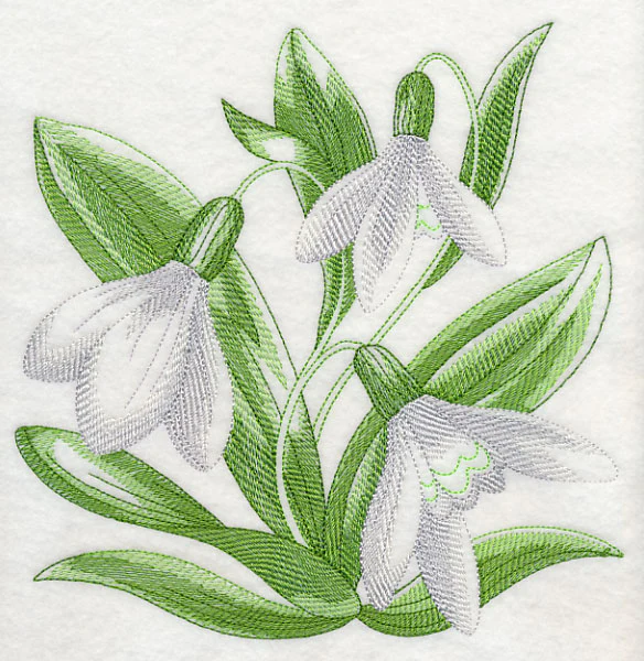 Snowdrops Sketch