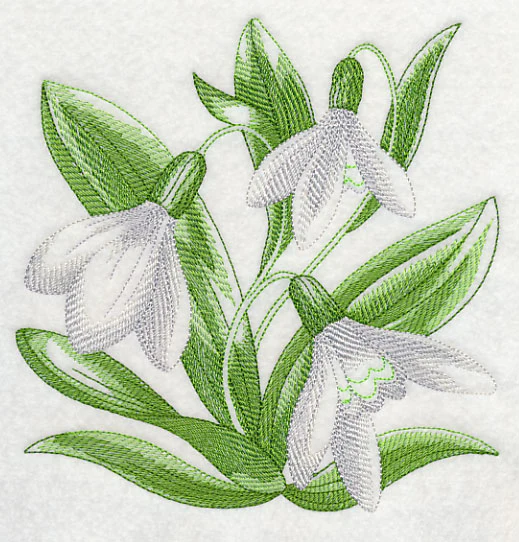 Snowdrops Sketch - Image 2