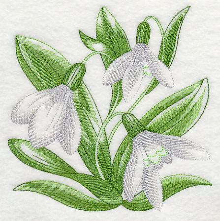 Snowdrops Sketch - Image 3