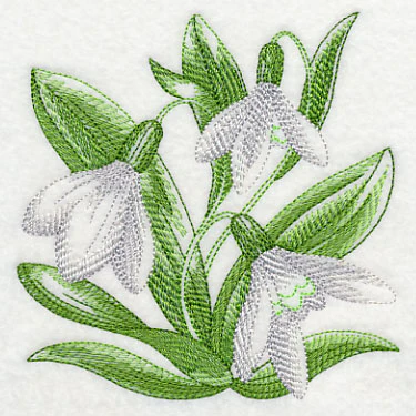 Snowdrops Sketch - Image 4