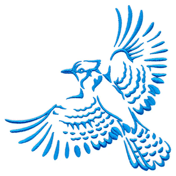 Soaring Blue Jay in Flight - Image 2