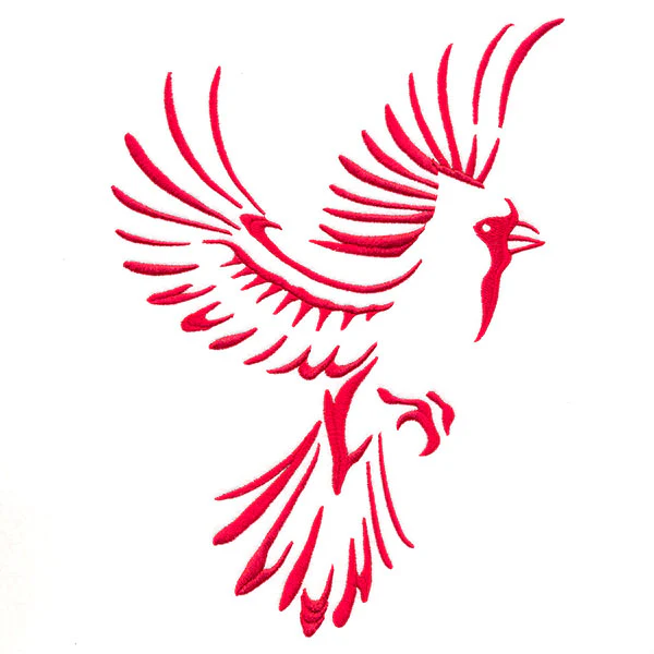 Soaring Cardinal in Flight