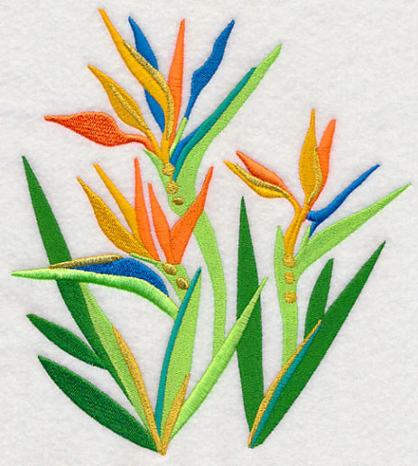 Some Like It Hot - Bird of Paradise - Image 2