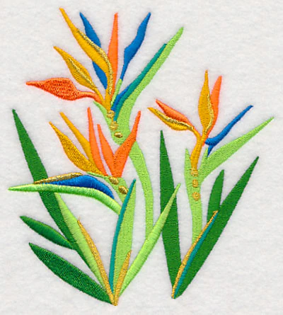 Some Like It Hot - Bird of Paradise - Image 3
